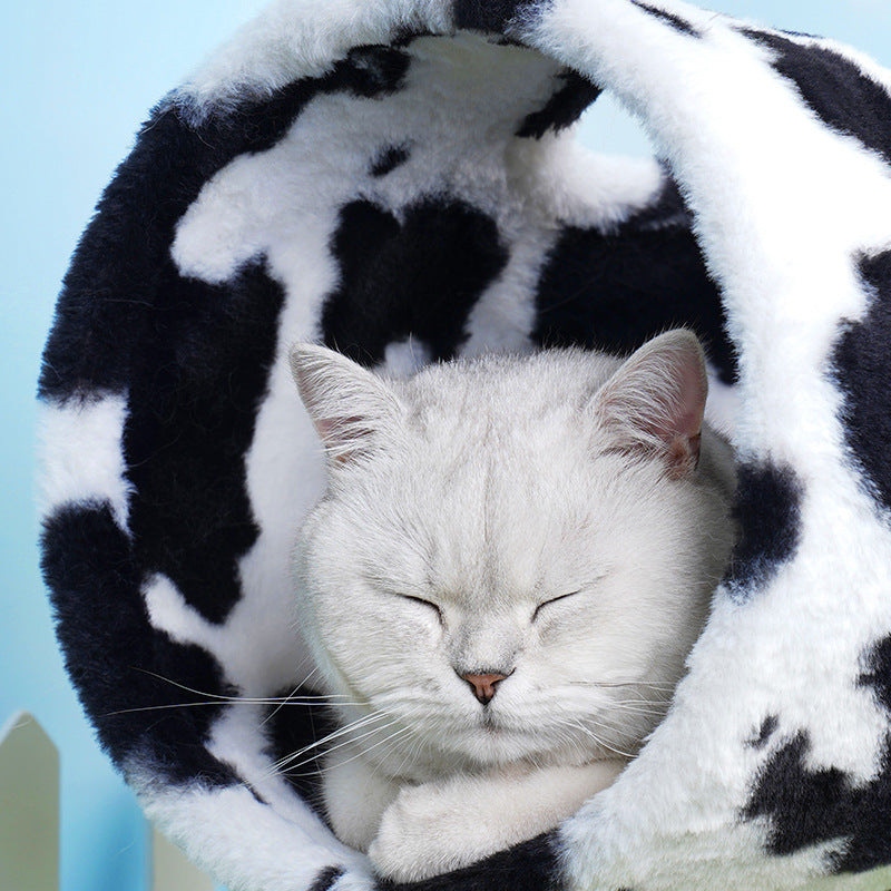 Cow Cat Climbing Tree