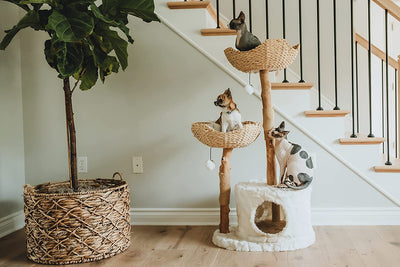 MAU Modern Cat Tree Tower for Large Cats, Real Branch Luxury Cat Condo, Wood Cat Scratching Tree, Cat Lover Gifts by