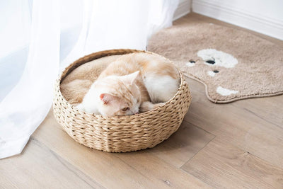 Hand Made Paper Rope round Bed for Cat/Dog/Pet Sleep with Pillow, Natural (Round)