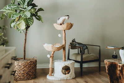 MAU Modern Cat Tree Tower for Large Cats, Real Branch Luxury Cat Condo, Wood Cat Scratching Tree, Cat Lover Gifts by